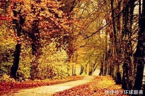 玉楼&断鸿渺渺空银海,疏雨潇潇满玉楼;八首七律诗,已是天凉好个秋