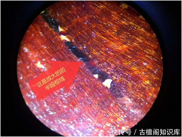 物质|小叶紫檀棕眼里的黑色物质到底是什么?