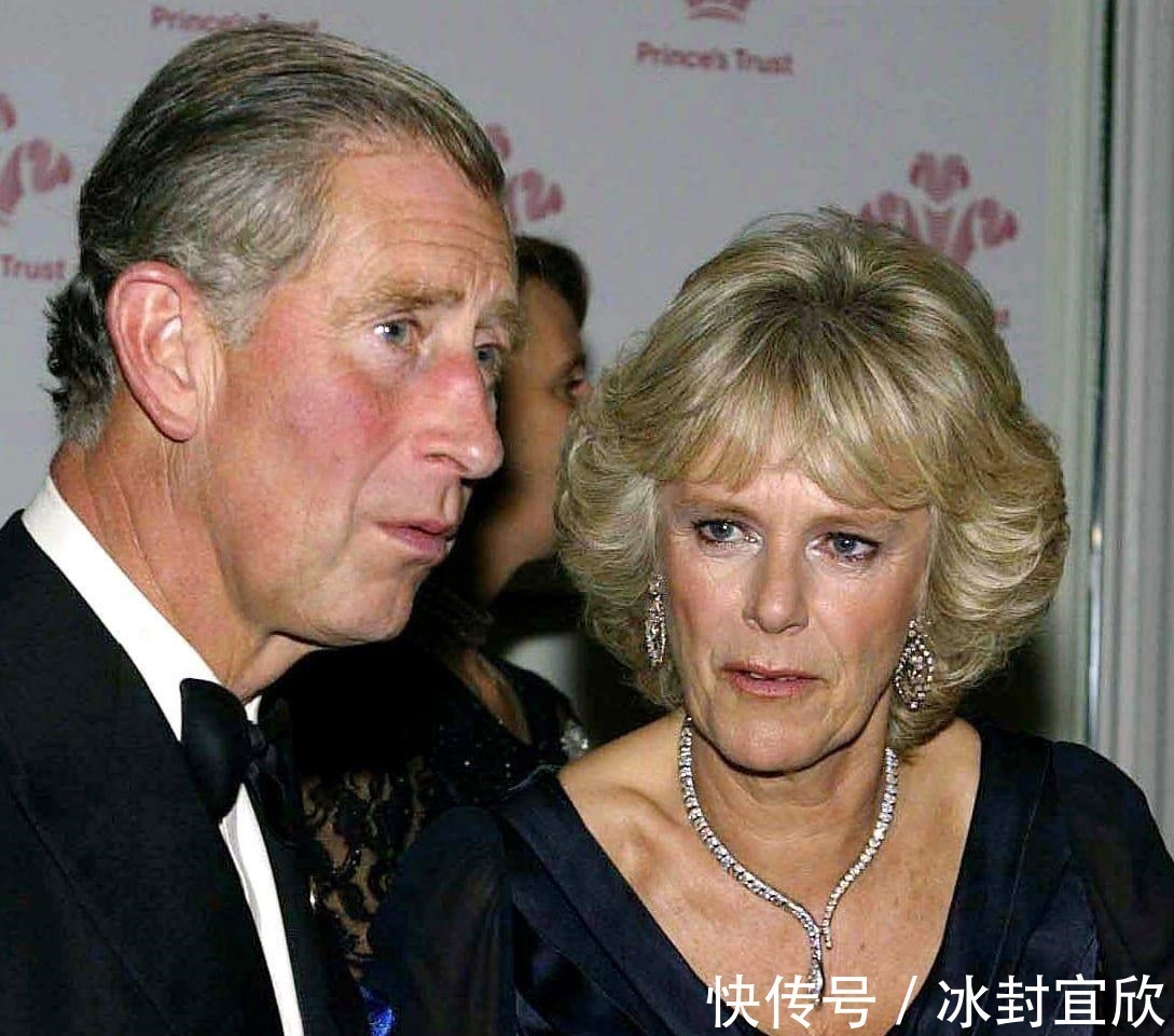 戴安娜!卡米拉的蛇形项链20年前做情人时查尔斯送的,蛇蝎气质一目了然