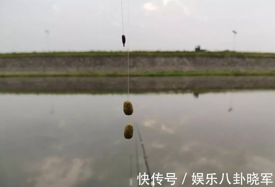 加粗尾的浮漂这样用,灵敏度丝毫不输细尾漂