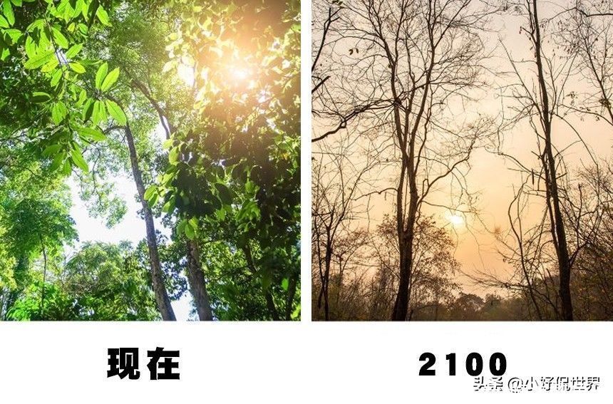 到了2100年 7個可能使世界變得完全不同的重大變化 中國熱點