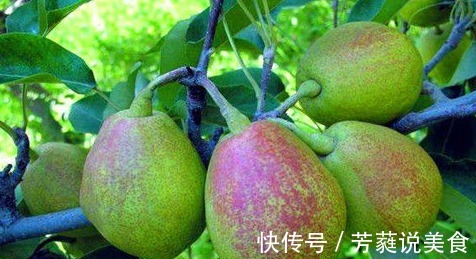 子宫|冬天到了,适合女性常吃的食物,促进血液循环,滋养子宫