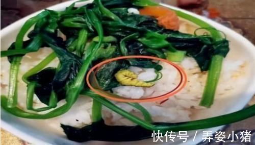 小谢|幼师发午餐照秒撤回,却没逃过宝妈火眼金睛:希望给个满意答复