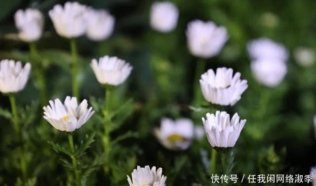 地球一小时︱探秘自然之夜，为地球发声