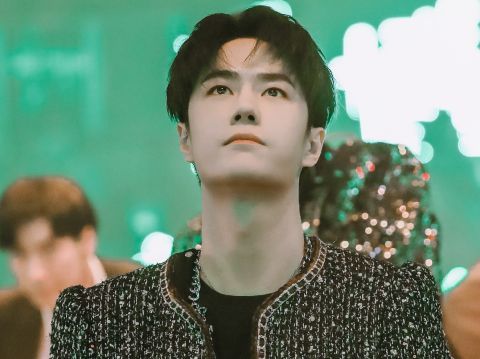 愛豆|樂華演唱會一片綠海，滿場都是王一博應(yīng)援色！不愧是樂華唯一TOP