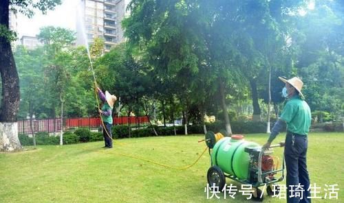 电梯|“电梯房”和“楼梯房”10年后哪种更值钱？懂行人给出3点分析