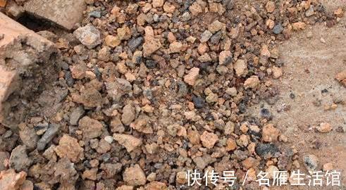 枝条|造成“栀子花”、“茉莉花”长势不好，元凶是它