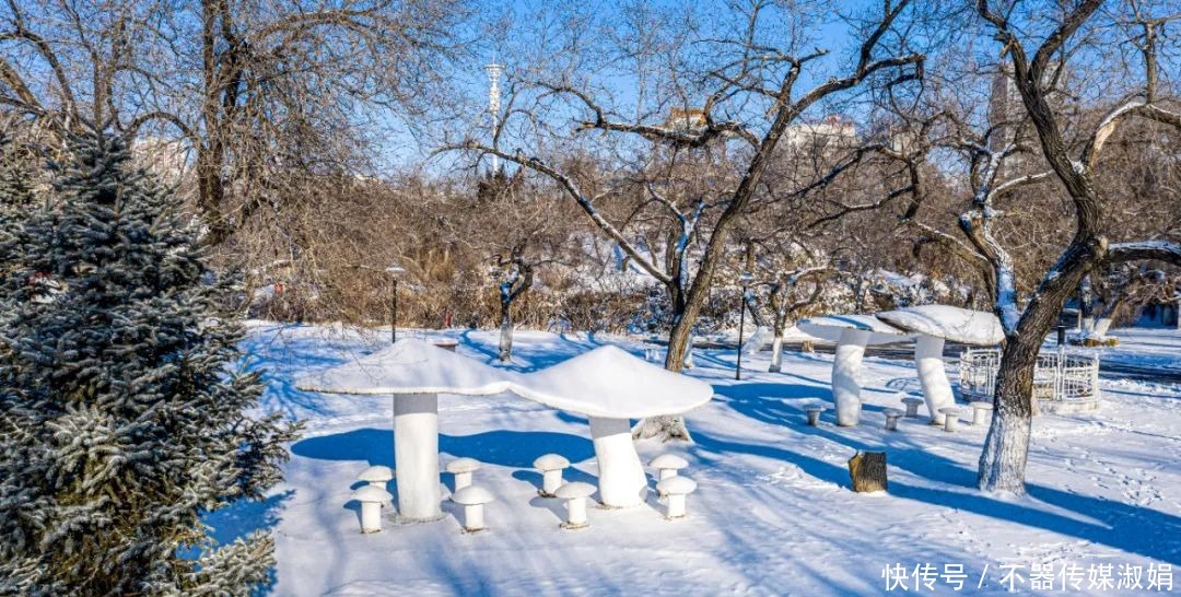 老年|雪后美景看鹤城