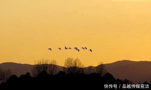 云龙|诗词篇 14 萨都剌《木兰花慢·彭城怀古》