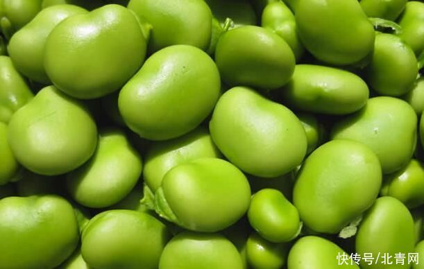 膳食纤维|天然“补脑豆”防呆、护血管，美味更养生