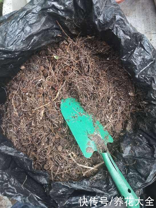 这5种动物粪便，居然是养花神器，越用花卉长得越旺