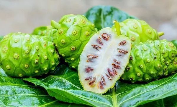 草莓|世界上最贵的水果,吃过3种以上的都是土豪啊