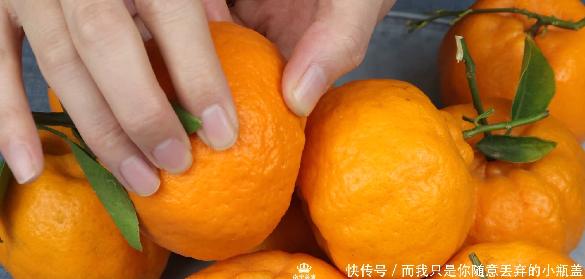 买丑橘要挑“母”的才好吃,教你5个挑选方法,学会后一挑一个准
