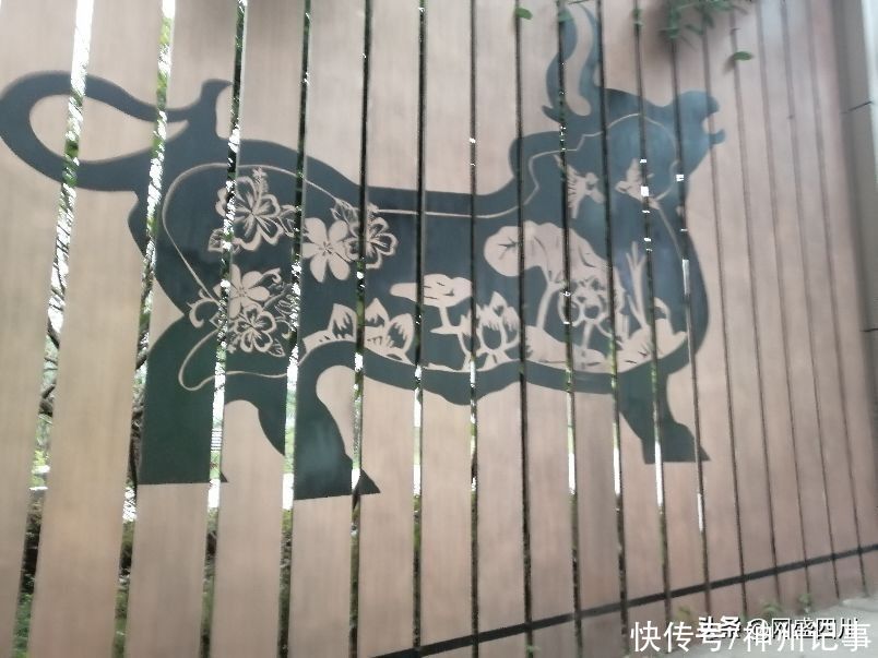 蓬安|逛游百牛赞歌广场，这里风景独好