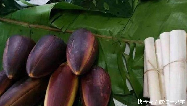 植物|这种植物开花就像鱼子酱一样，因为它天生地养，在农村也非常难得