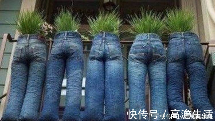 花盆|他用这东西养花,把半夜踩点的小偷吓半死,长势旺到不行!