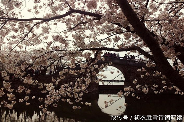 春雨楼头曼殊诗，眼前樱花雨，心里浙江潮