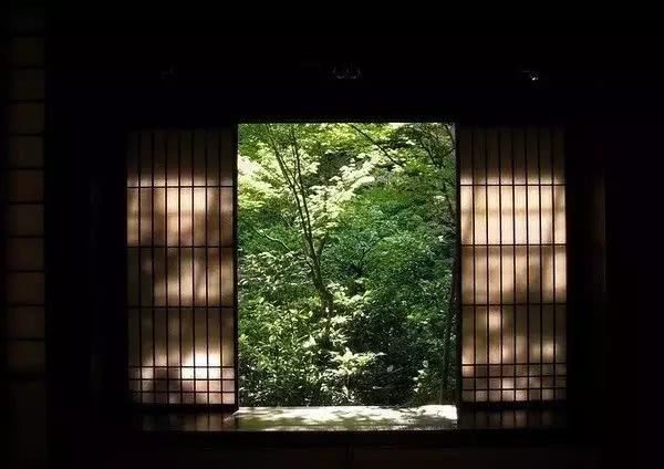 庭院|愿得一庭院,只用来喝茶