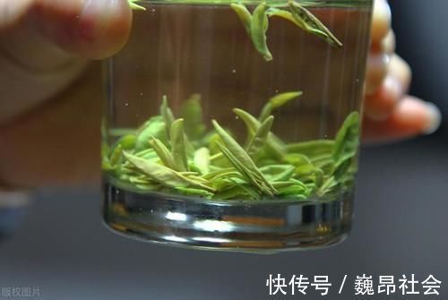 泡茶时要不要先洗茶？什么茶不用洗？洗茶真能洗掉脏东西吗？