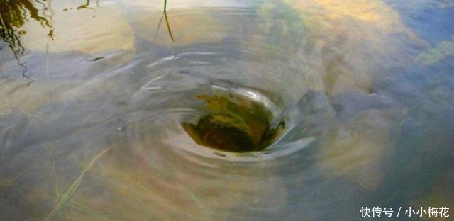 感受不到地球自转认真观察这4个现象,在日常生活就有