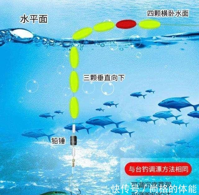 方法|七星漂逗钓的两种方法,你会用吗