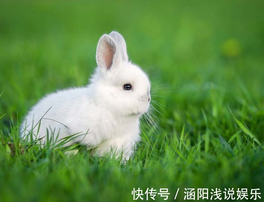 小宝宝|这几个属相的宝宝,将来可能有“福”了,家长日后不用多操心