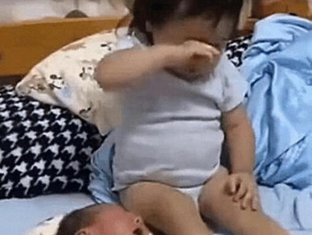 养育|2岁姐姐被3个月大弟弟吵醒,发现妈妈不在后,姐姐的举动让人泪目