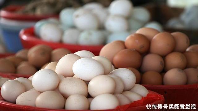 白皮鸡蛋|鹅蛋、鸡蛋、鸭蛋，哪种营养价值最高，对身体健康更有好处