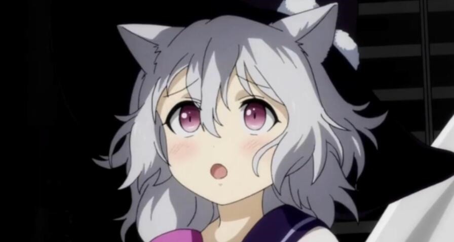 猫娘乐园|二次元中具有猫耳属性的美少女(猫娘),你想要领养哪一只呢