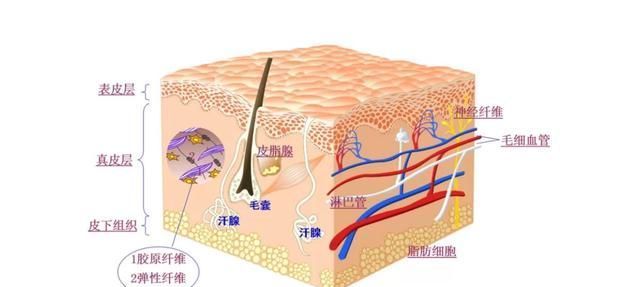 敏感|判断你是不是“敏感肌”？看脸上这几个地方，很简单就能看出来！