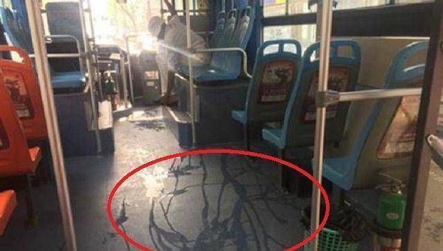 家长|8岁男孩故意用推车撞孕妇,妈妈却旁观,孕妇老公的做法让人解气