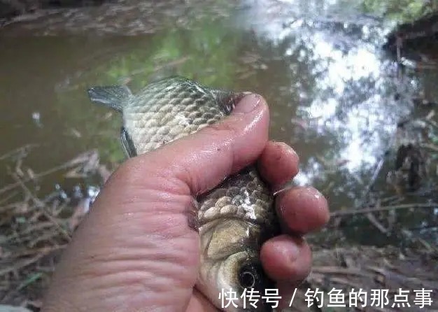 钓鱼|初春钓鱼,要知道“4钓、4不钓”,了解清楚,新手也能轻松爆护