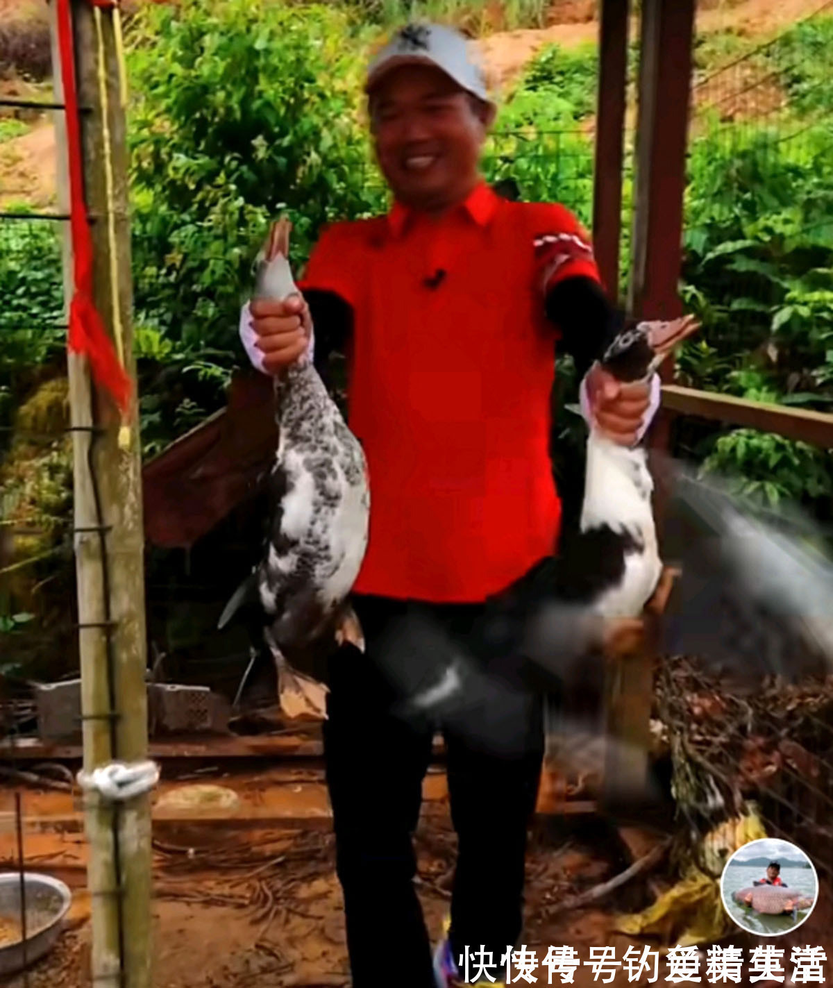 大师们|人怕出名鱼怕邓刚，因为“水库盘鱼塘老板”的视频走红