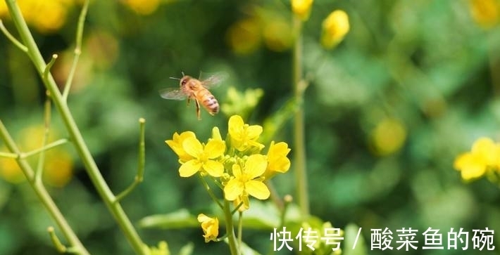 老百姓#5首绝妙好诗,体现古代穷苦百姓生活,文采飞扬