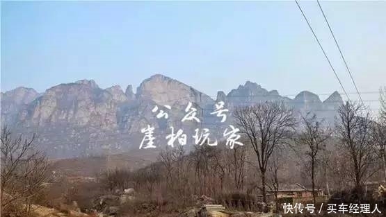 崖壁上的崖|崖柏为什么真贵?看完你就知道了!