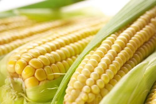 减肥期间|减肥最佳的主食，不是米饭更不是面条，而是以下5种食物