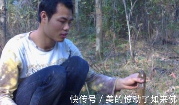 农村小伙挖到一窝野生鱼，有人说是塘虱，更有人说是七星鱼