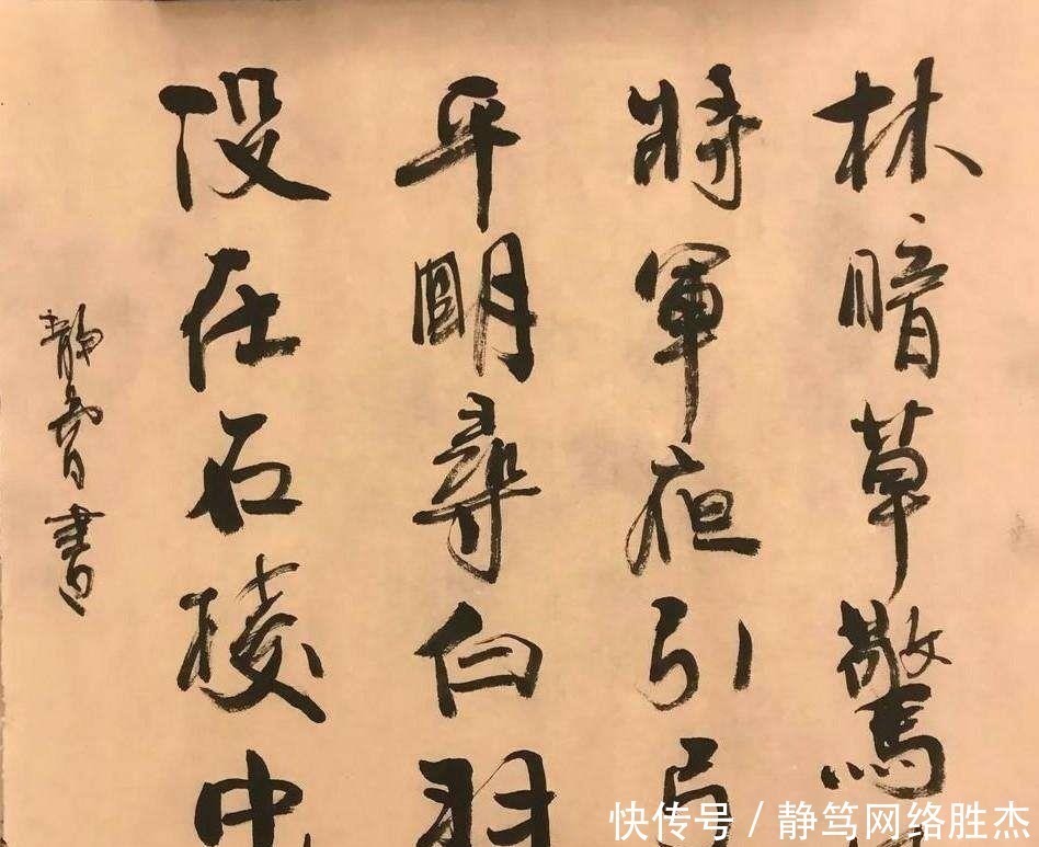 刚劲|徐静蕾书法：是用硬毫书写的，感觉刚劲有余，圆润不足