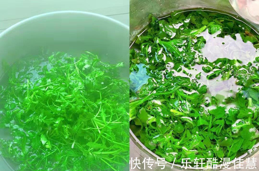 维生素b1|入冬碰到这菜,直接囤10来斤,营养很高,处理好放大半年也不坏