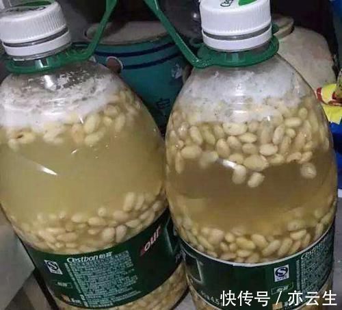 花卉|它是“天然氮肥”,家家都有,养花埋盆里,营养有价值,养啥旺啥