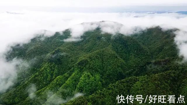 叶子|魅力陕西行·雨后，寻觅镇坪最诗意的秋天