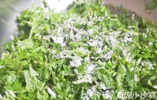 早餐不用愁,营养早餐饼,不用发酵,几分钟烙一锅,好吃又健康