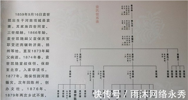 左宗棠|袁世凯家族有一著名文物,重约一吨,50年代被当成废铁炼了钢