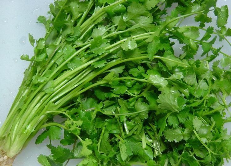 香菜|女性不愿变黄脸婆,要经常吃3种食物,滋补身体,好处多多!