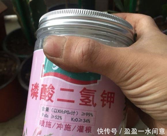 多菌灵、硫酸亚铁、磷酸二氢钾,光听不会用3分钟就教你学会!