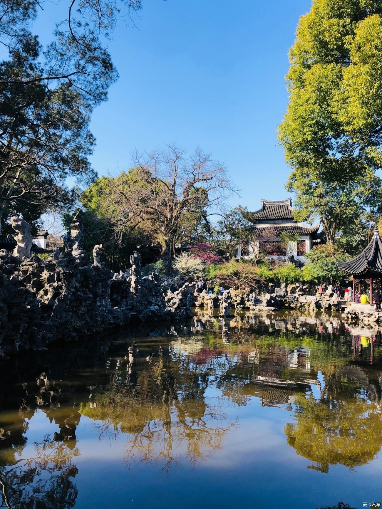 写意|写意庭园何处寻姑苏城中有山林