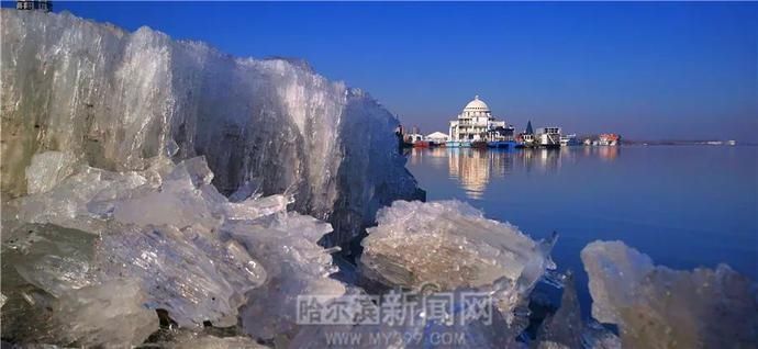 这才是最美的“快消”｜冰城特供，只此一季#超多美图【网络中国节·清明】