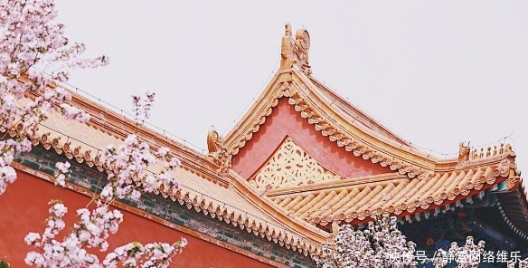 愉妃地位不低,乾隆帝又看中永琪,为什么她没有画像流传下来?