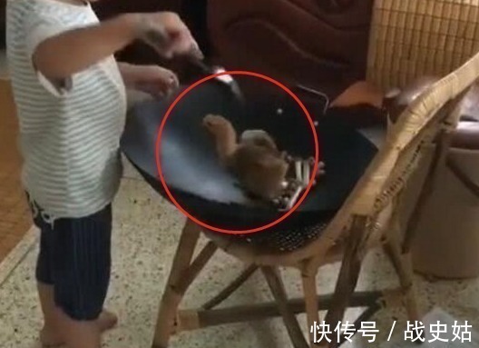 虐待|妈妈给宝宝买了只小鸡,上完厕所回来,孩子的行为让妈妈无法淡定