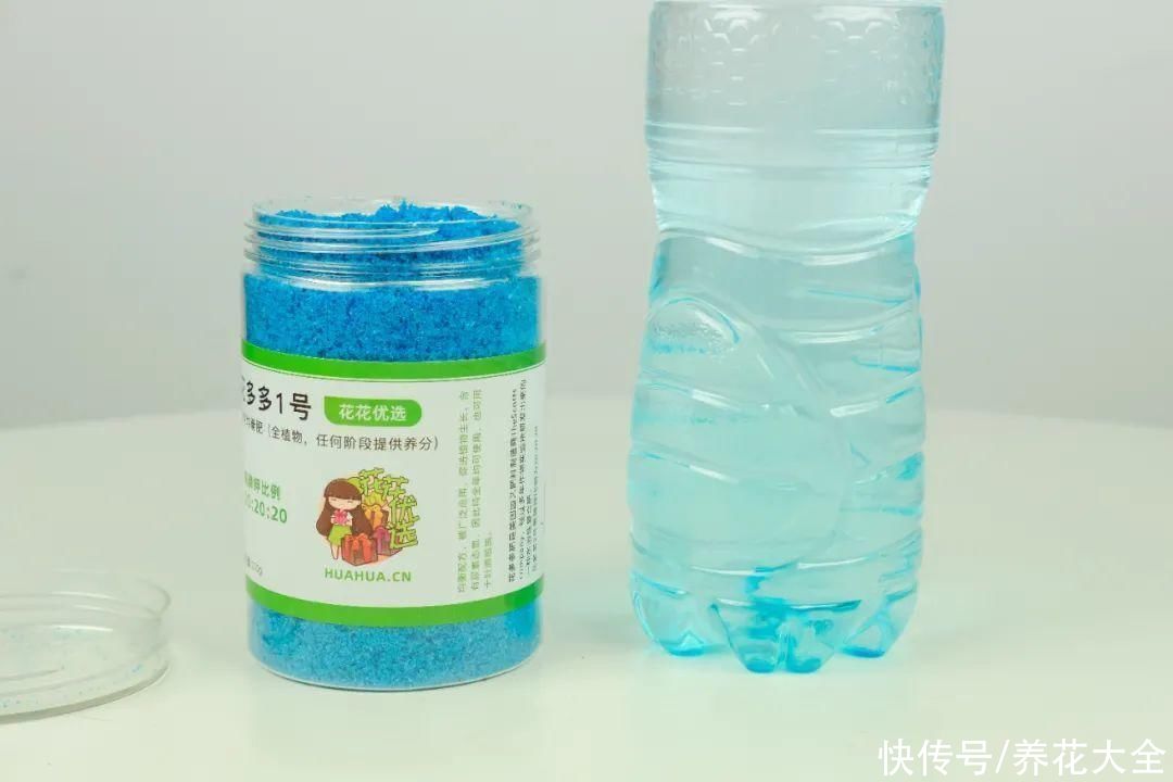 给花浇水掺点白醋，植物根比萝卜还粗，健壮不黄叶